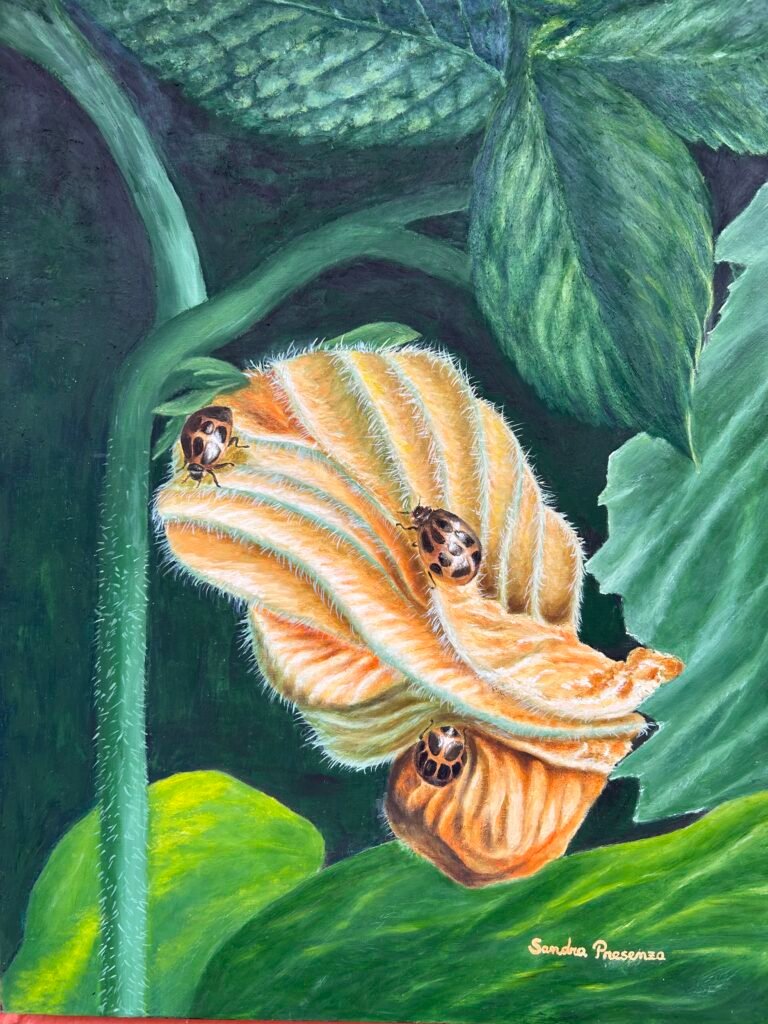 Flor de zapallo